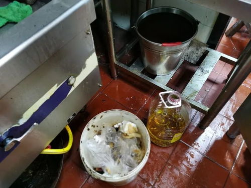 上海餐饮复工后厨房卫生堪忧 积压库存触目惊心，记者现场调查揭露乱象